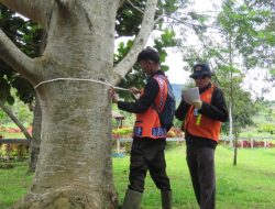 PT. TIV Pabrik Solok Miliki Taman Kehati Indeks Keanekarahaman Pohon Untuk Cadangan Karbon